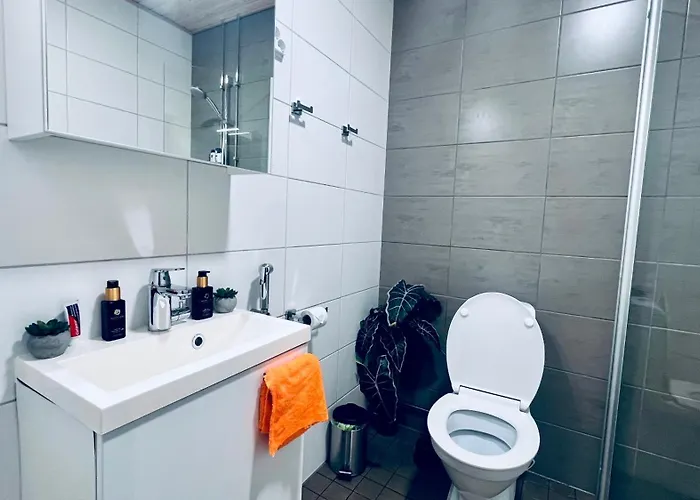 公寓 Cozy 6 Mins By Train To Airport 万塔